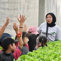 Kegiatan Outdoor Study Kelas II Ke KebunKita Pekanbaru